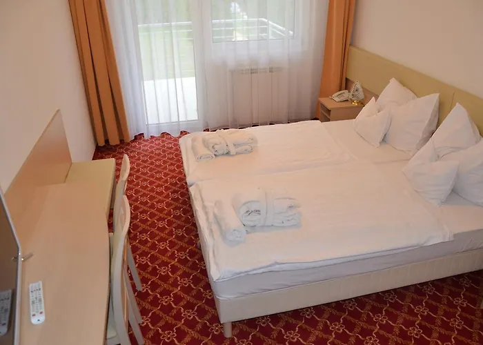 Ket Korona Konferencia Es Wellness Hotel Balatonszarszo